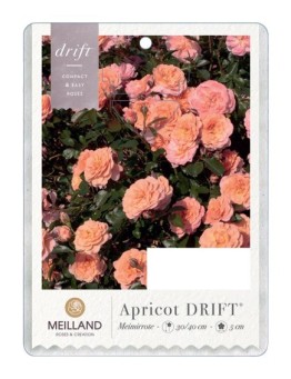 Apricot DRIFT®