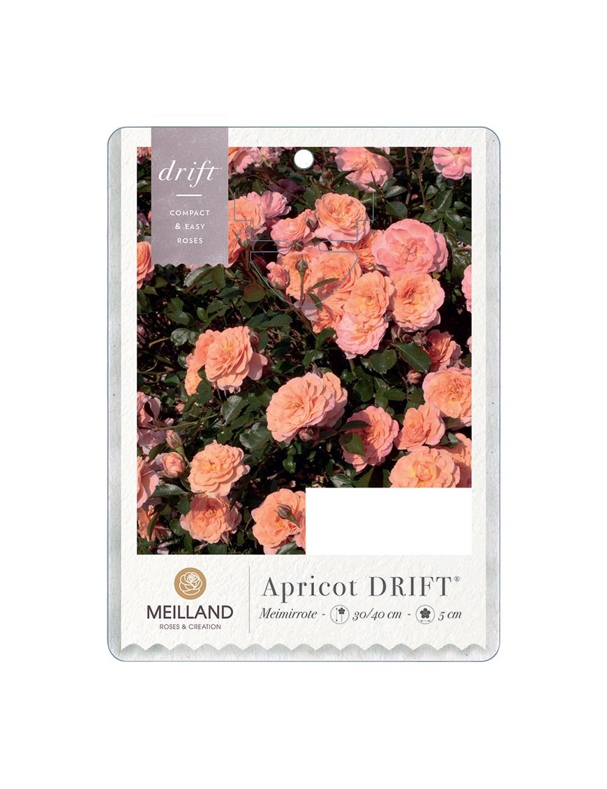 Apricot DRIFT®