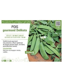 POIS GOURMAND DELIKATA