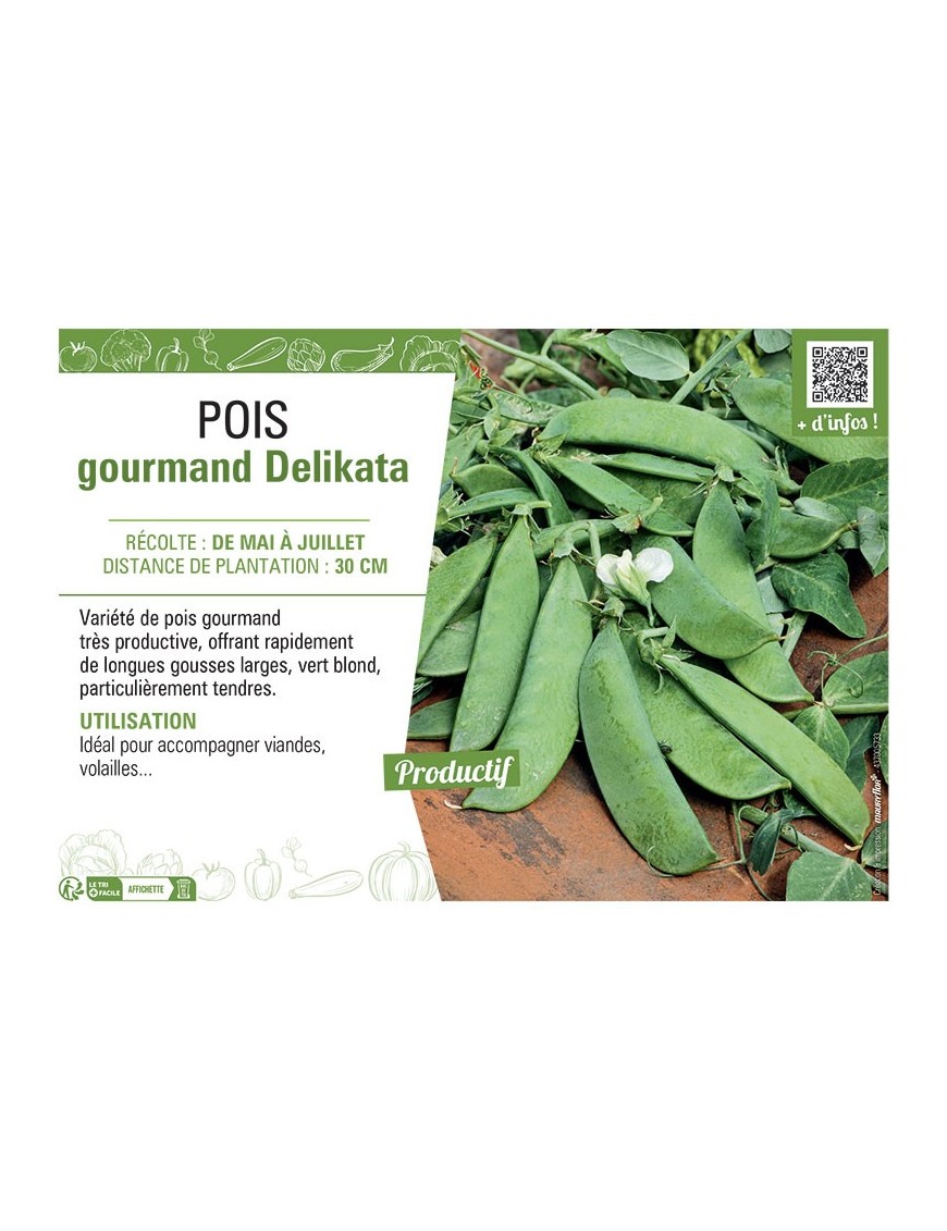 POIS GOURMAND DELIKATA