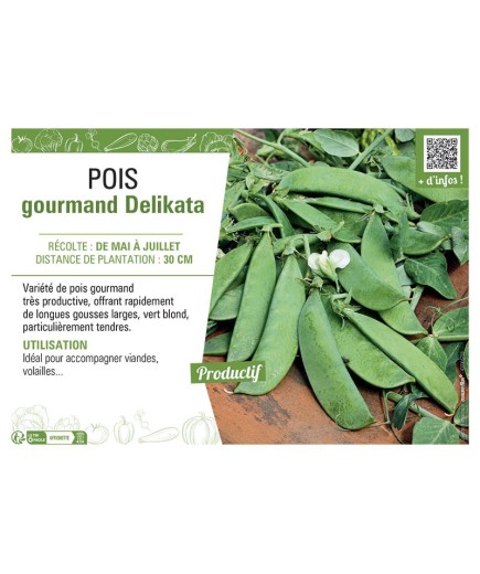 POIS GOURMAND DELIKATA