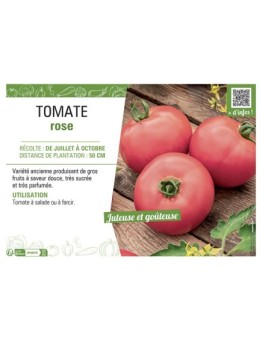 TOMATE ROSE