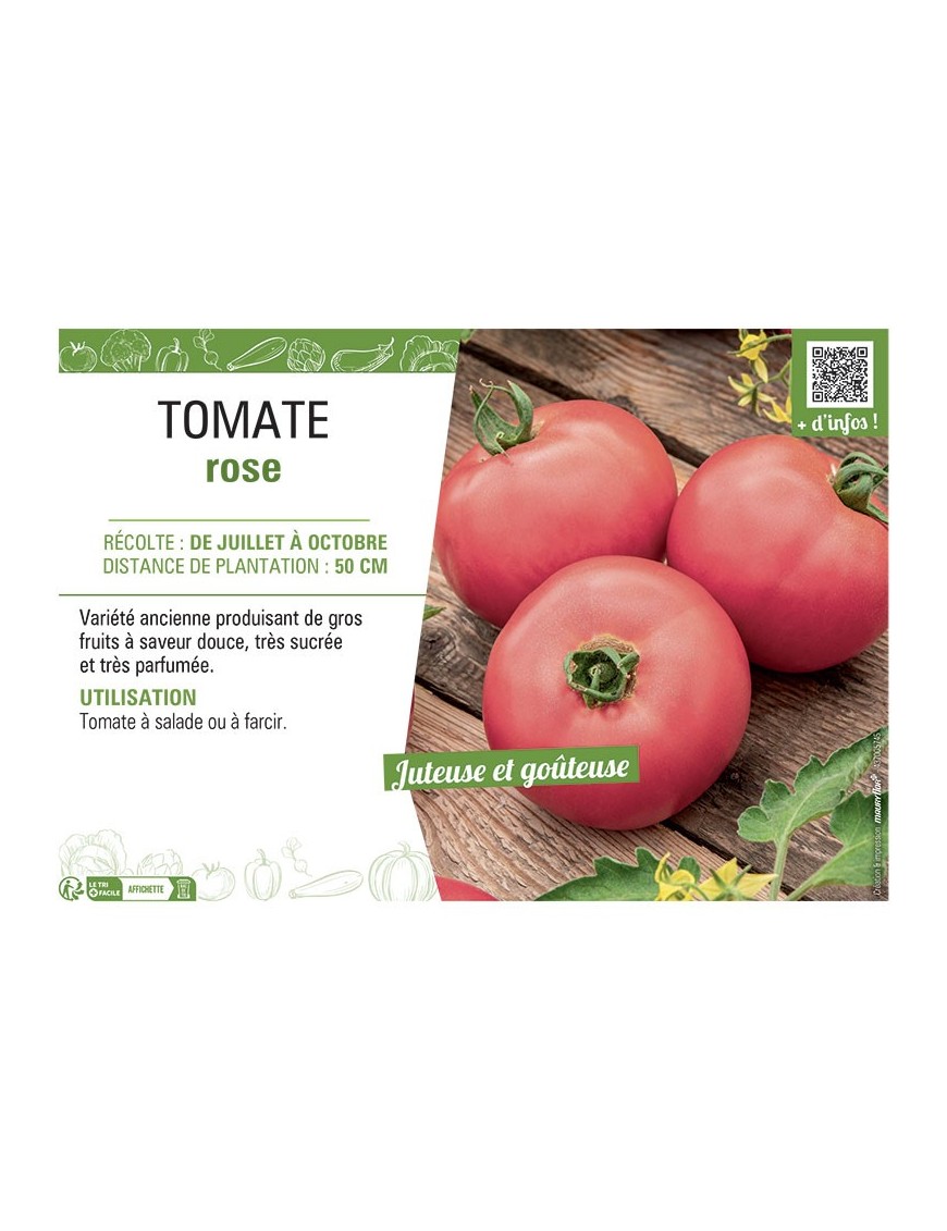 TOMATE ROSE