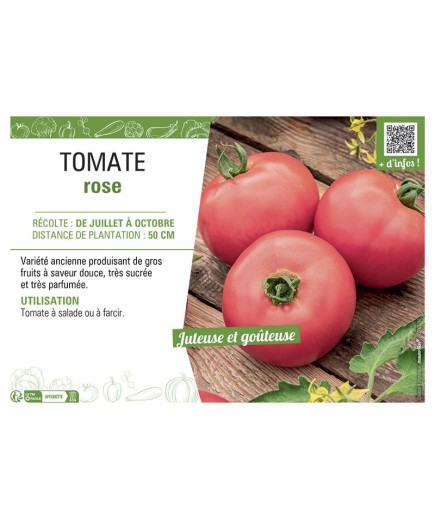 TOMATE ROSE