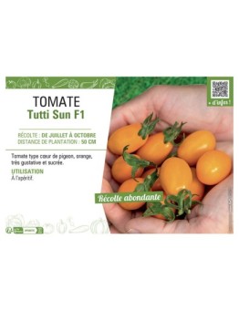 TOMATE TUTTI SUN F1