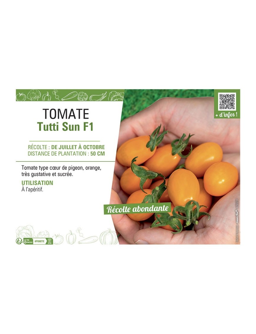 TOMATE TUTTI SUN F1