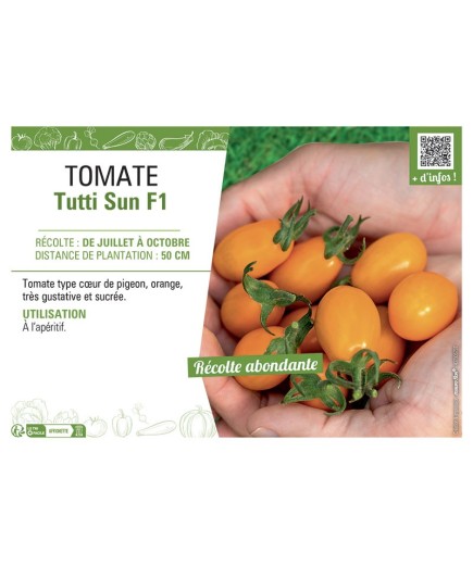 TOMATE TUTTI SUN F1