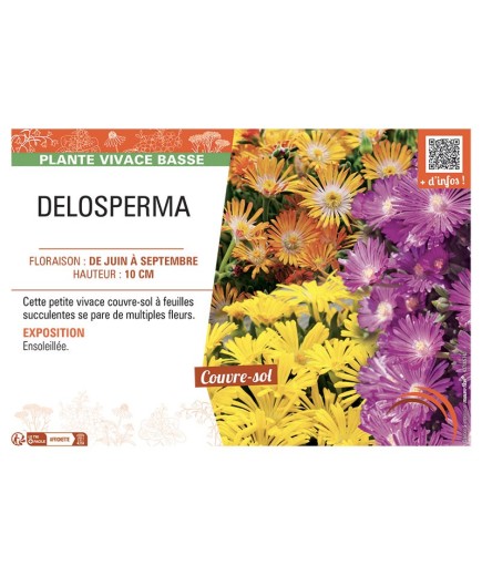 DELOSPERMA
