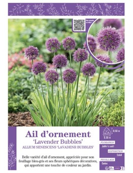 AIL D'ORNEMENT LAVENDER BUBBLES