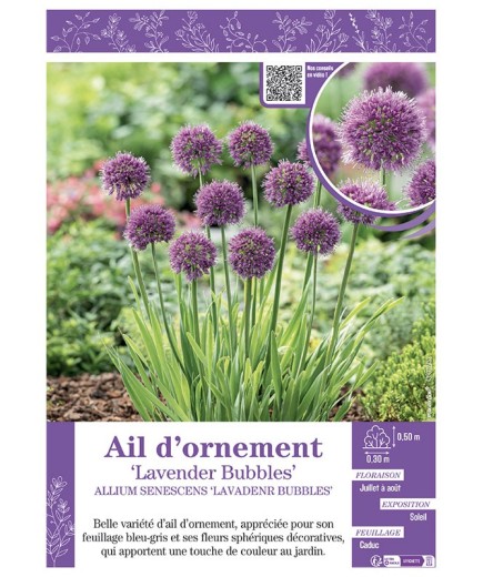 AIL D'ORNEMENT LAVENDER BUBBLES