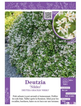 DEUTZIA GRACILIS 'NIKKO' voir DEUTZIA 'NIKKO'