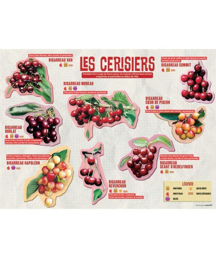 PANNEAU CERISIERS