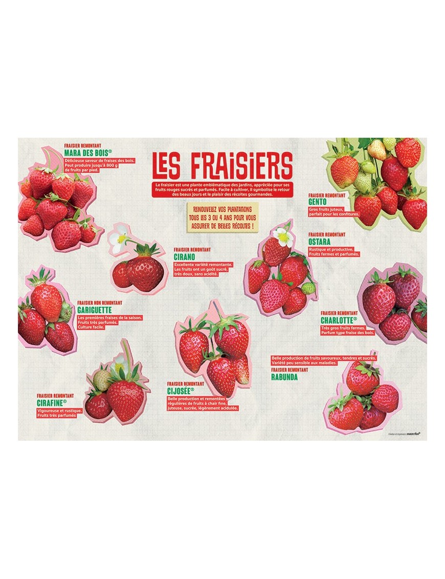 PANNEAU FRAISIERS