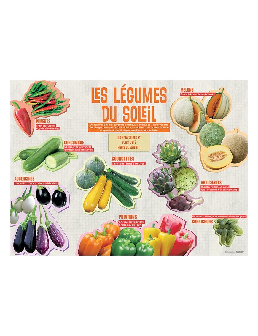 PANNEAU LÉGUMES DU SOLEIL