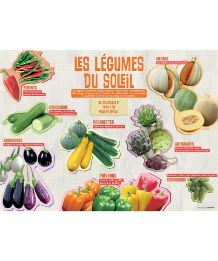 PANNEAU LÉGUMES DU SOLEIL