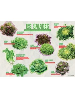 PANNEAU SALADES