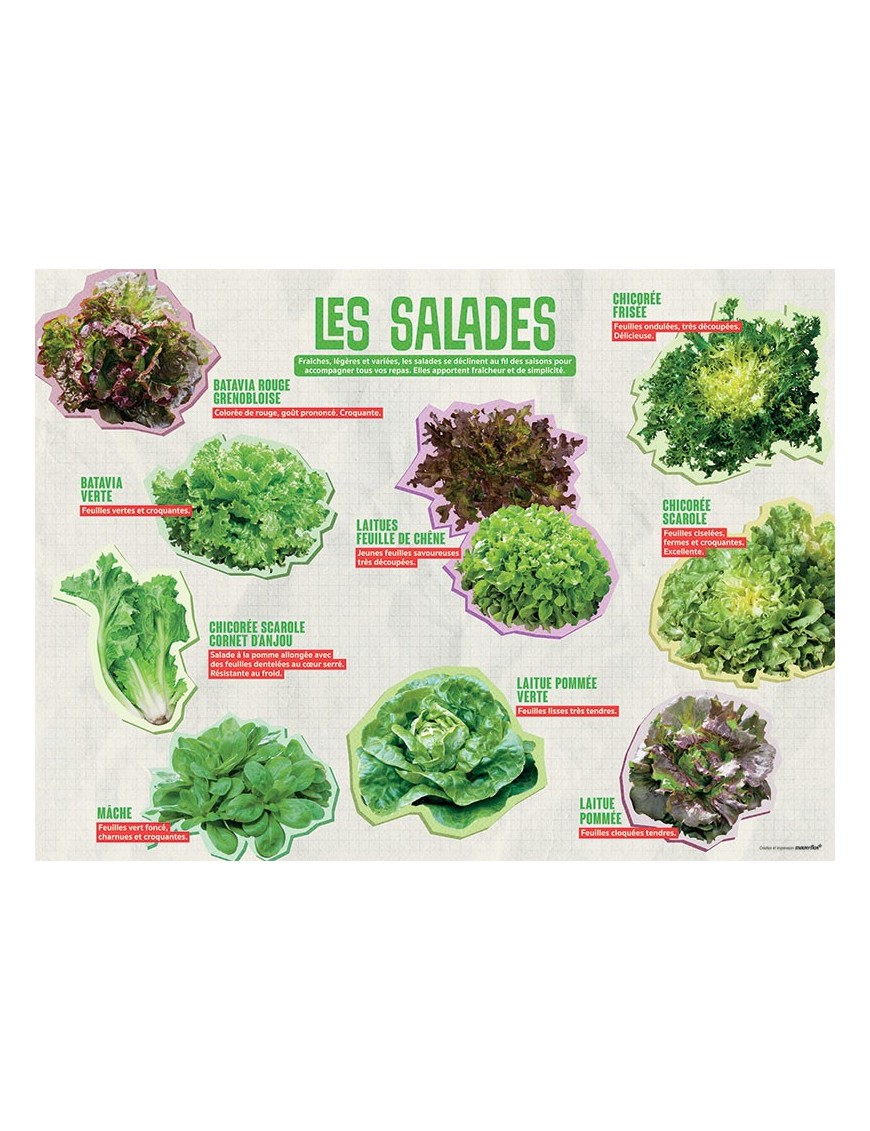 PANNEAU SALADES