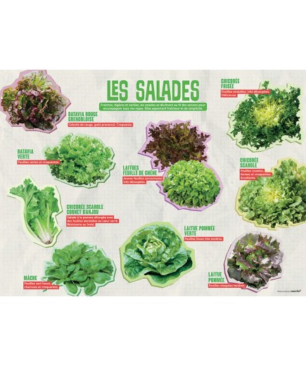 PANNEAU SALADES