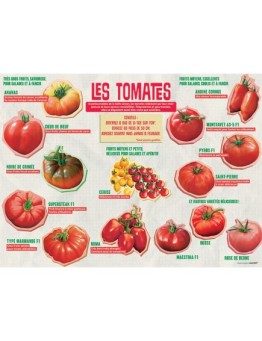 PANNEAU TOMATES