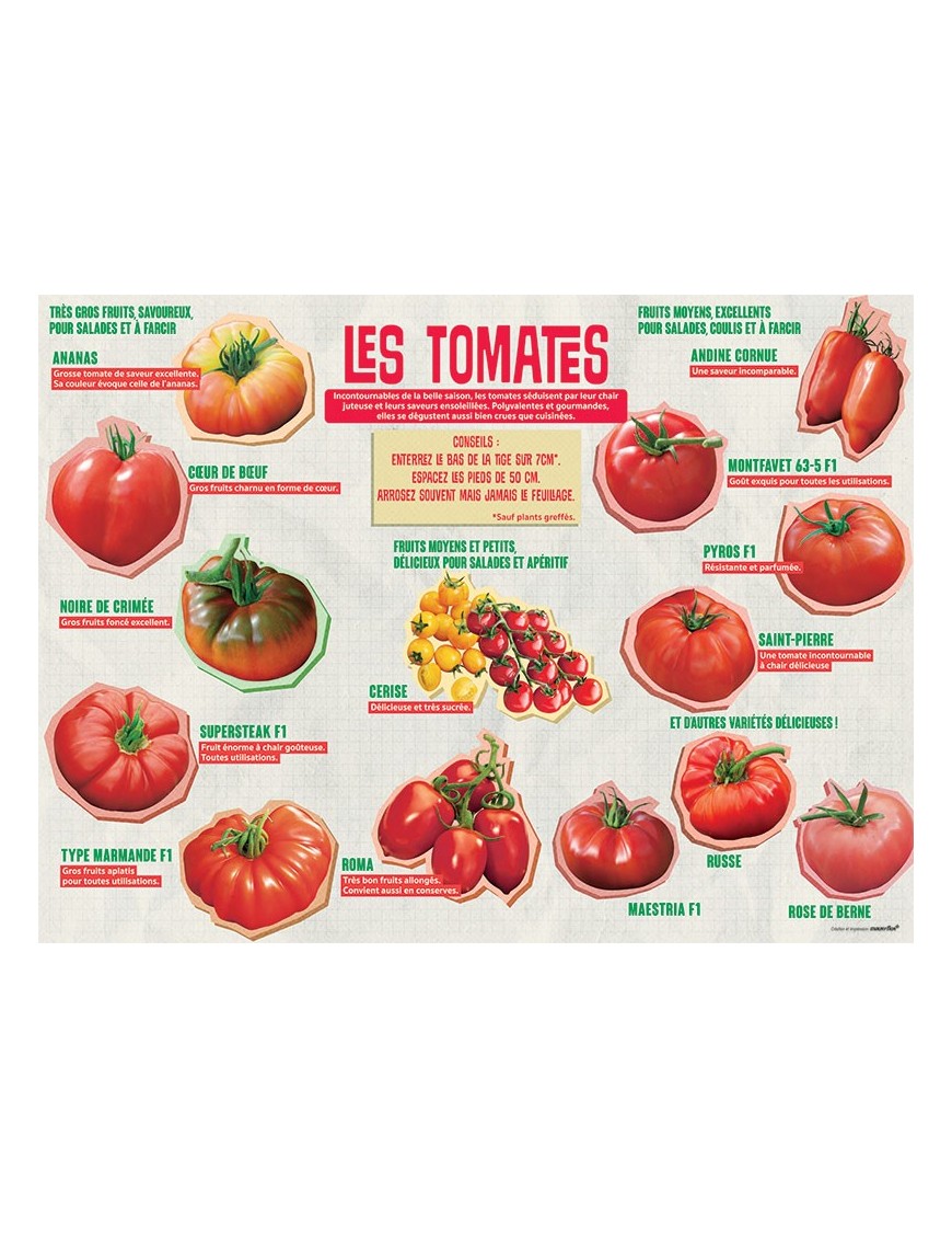PANNEAU TOMATES