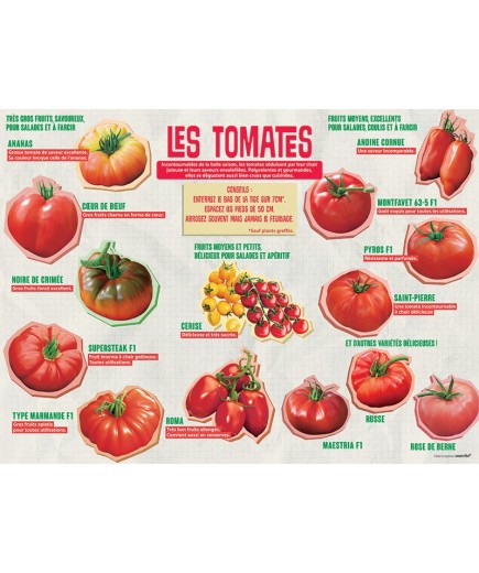 PANNEAU TOMATES
