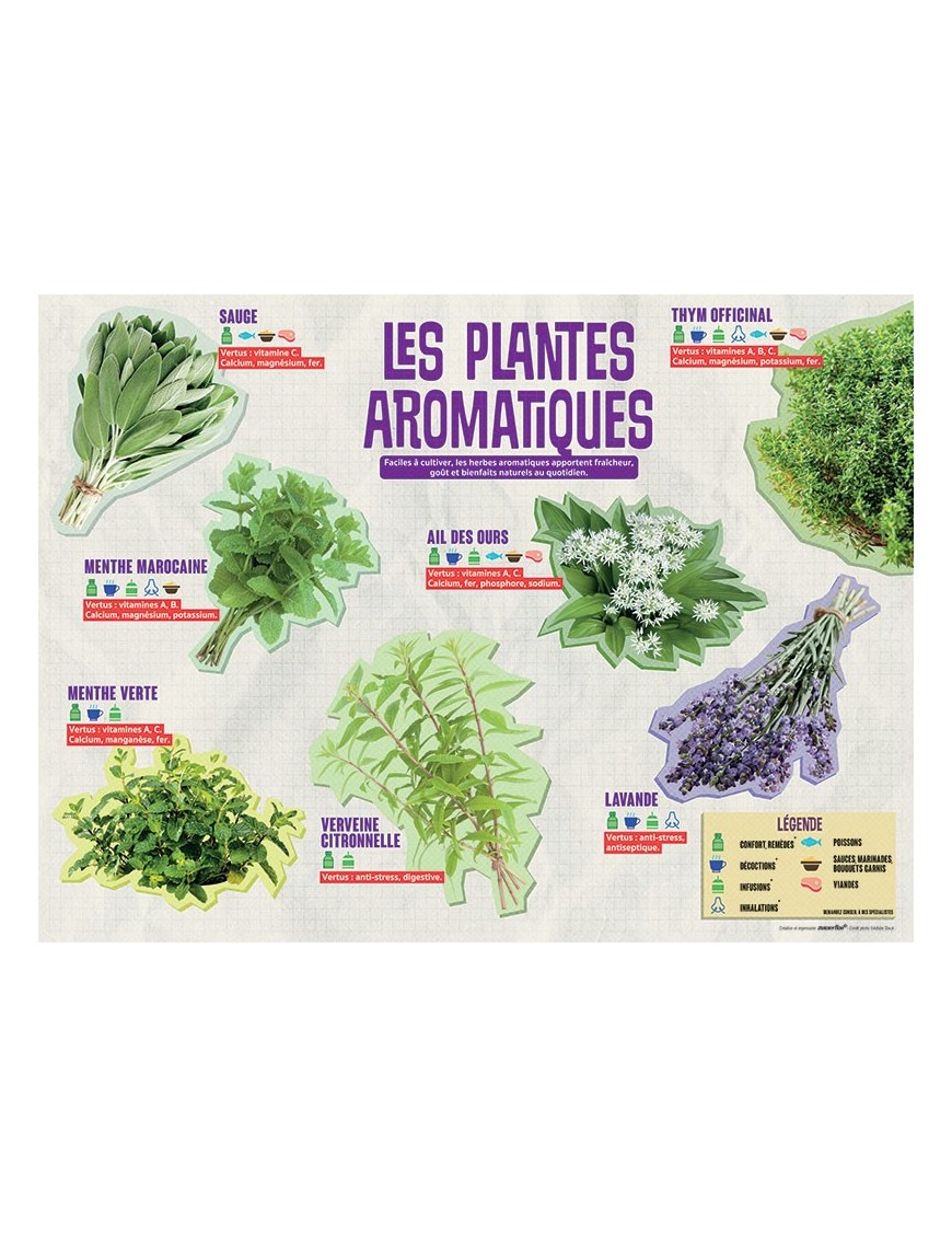 PANNEAU AROMATIQUES