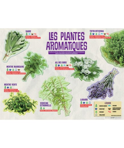 PANNEAU AROMATIQUES