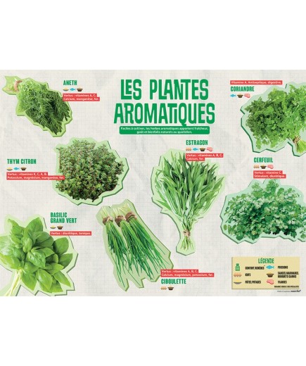 PANNEAU AROMATIQUES