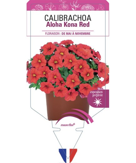 CALIBRACHOA Aloha Kona Red