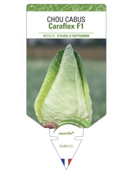 CHOU CABUS Caraflex F1