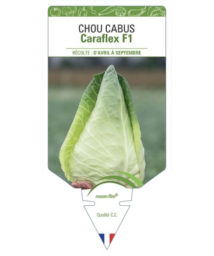 CHOU CABUS Caraflex F1
