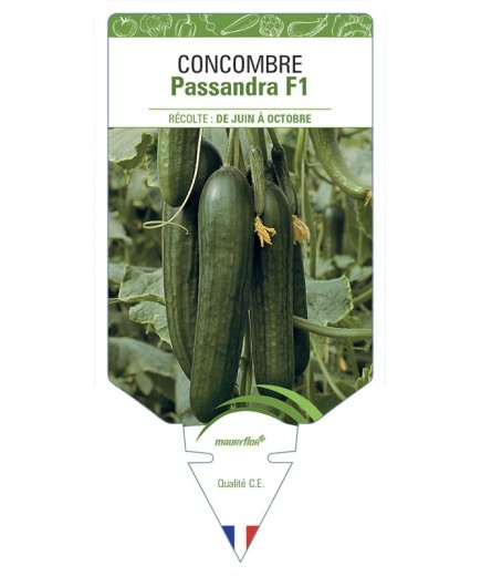 CONCOMBRE Passandra F1