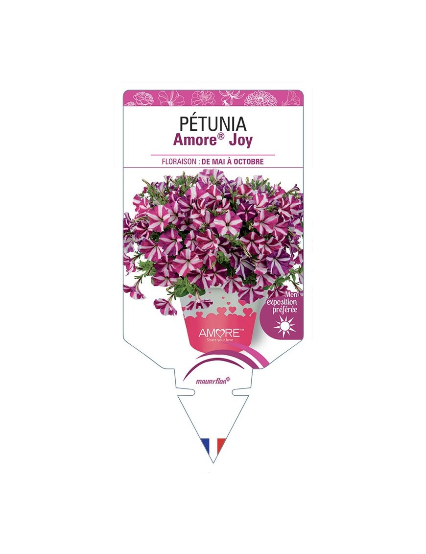 PÉTUNIA Amore® Joy