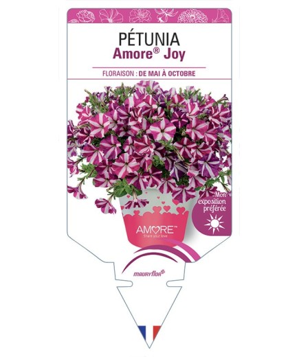 PÉTUNIA Amore® Joy