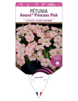 PÉTUNIA Amore® Princess Pink