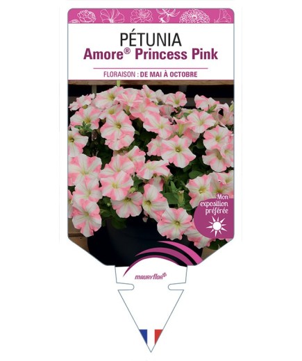 PÉTUNIA Amore® Princess Pink