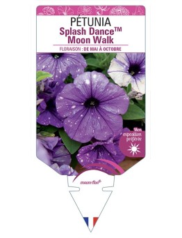 PÉTUNIA Splash DanceTM Moon Walk