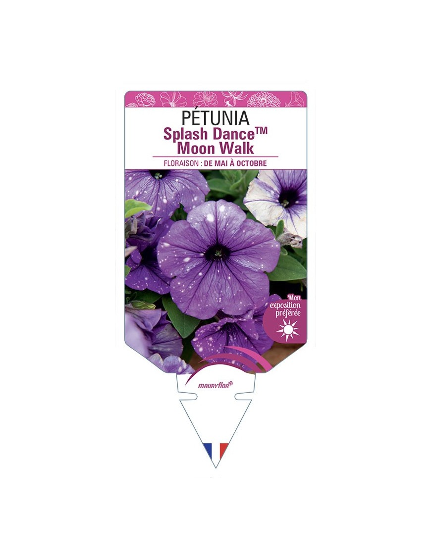 PÉTUNIA Splash DanceTM Moon Walk