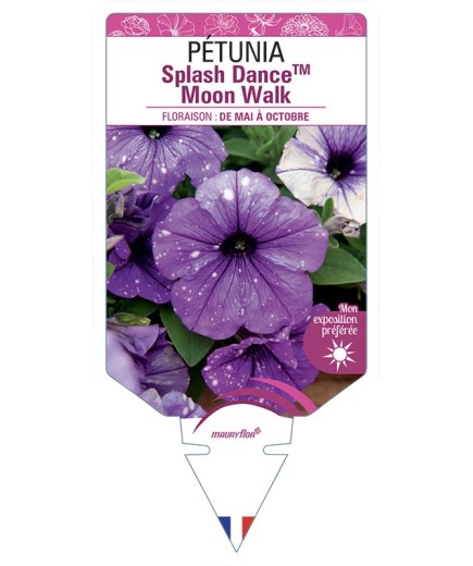 PÉTUNIA Splash DanceTM Moon Walk
