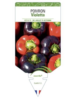 POIVRON Violetta