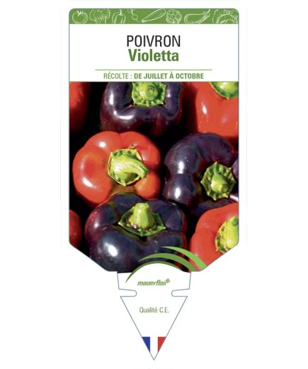 POIVRON Violetta