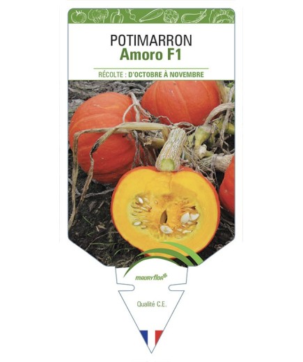 POTIMARRON Amoro F1