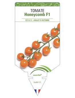 TOMATE Honeycomb F1