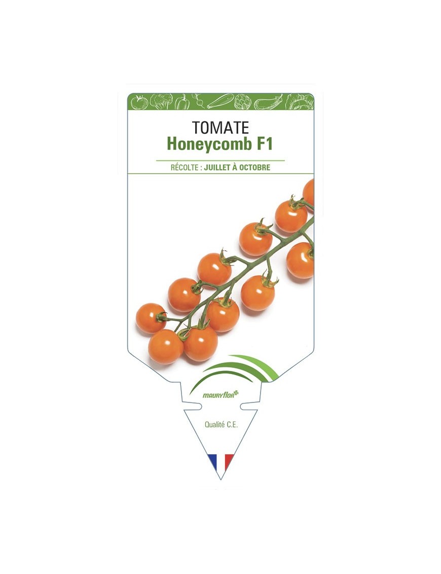 TOMATE Honeycomb F1