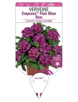 VERVEINE Empress® Flair Blue Star