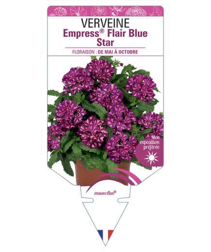 VERVEINE Empress® Flair Blue Star