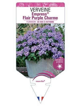 VERVEINE Empress® Flair Purple Charme
