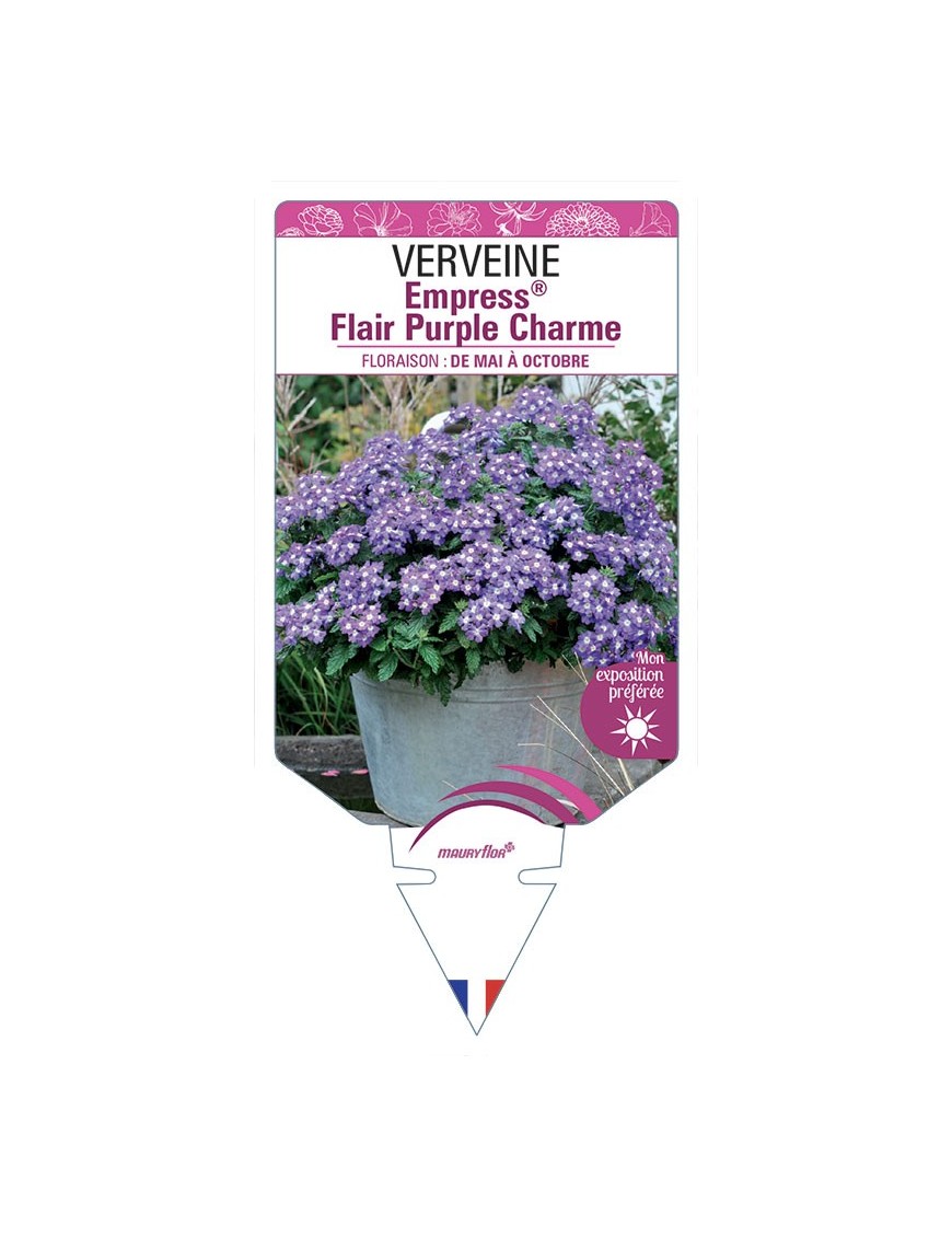 VERVEINE Empress® Flair Purple Charme