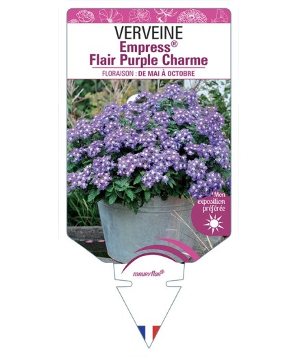VERVEINE Empress® Flair Purple Charme