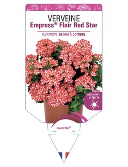 VERVEINE Empress® Flair Red Star